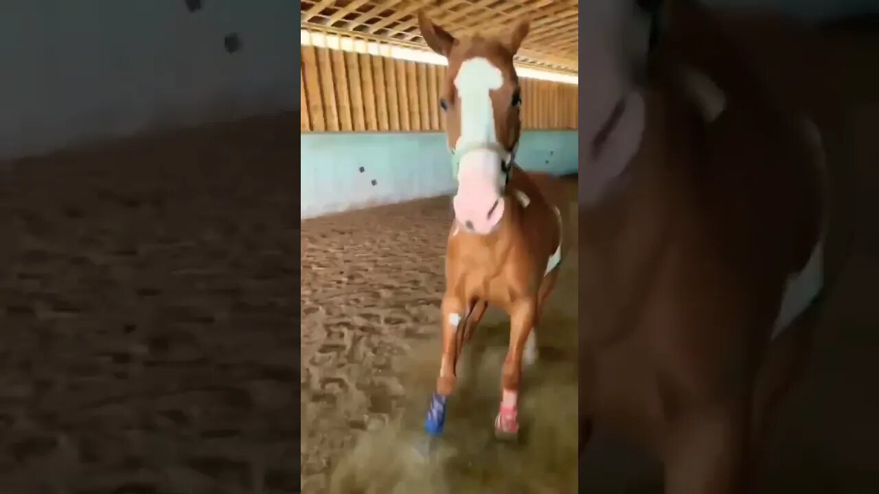 An Indescribable Amount Of Joy