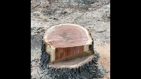 Das lumberjack