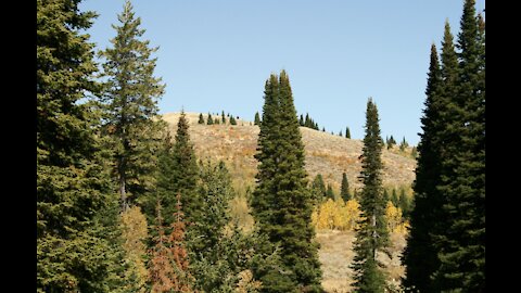 Broadmouth Canyon Gold: Glimpses of Autumn