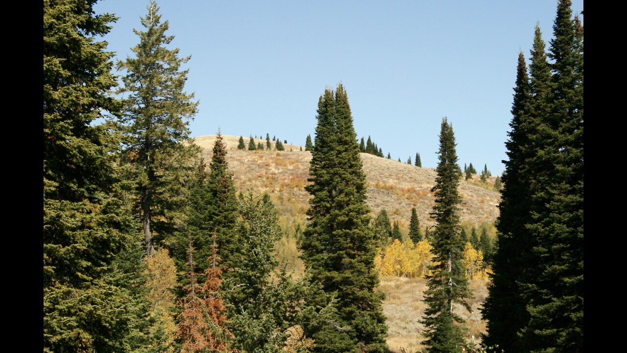 Broadmouth Canyon Gold: Glimpses of Autumn