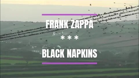 FRANK ZAPPA -- BLACK NAPKINS