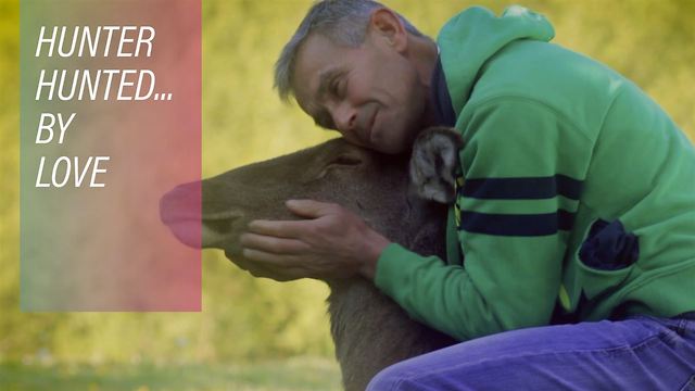 From the barrel of the gun: baby deer reforms hunter