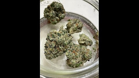 Northern lights review