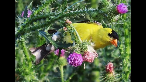 2/2 Testimony: Patience, Power Of Faith & Humility