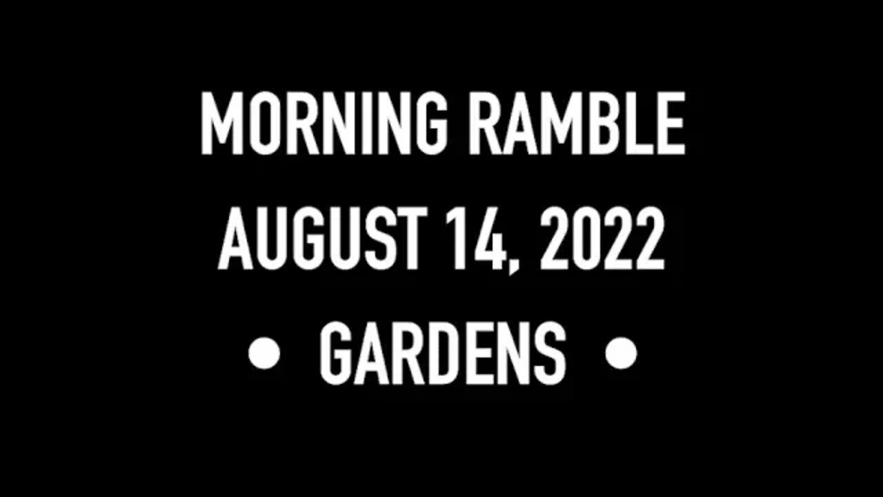 Morning Ramble - 20220814 - Gardens