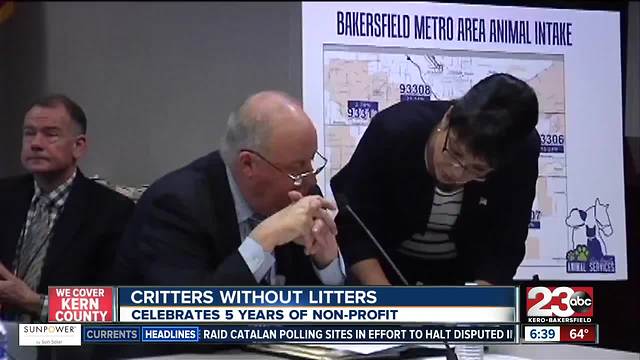 Critters Without Litters celebrates five years of the non-profit