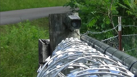 Wuloo Driveway Alarm Review Part Two: A Final Look