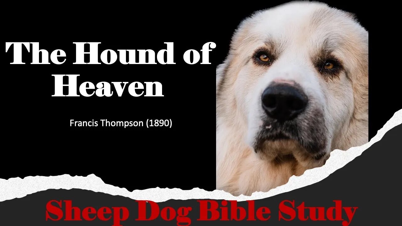 The Hound of Heaven Reaction Vidoe