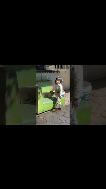 a wonderful sunny day, a love of babies and dogs #dog #shorts #vlog #rescue #troll #bridge #100