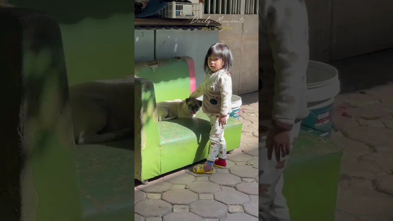a wonderful sunny day, a love of babies and dogs #dog #shorts #vlog #rescue #troll #bridge #100