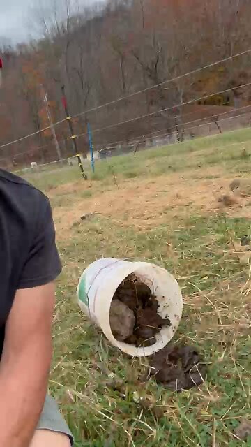 It’s Election Day! Time to Gather the Politicians 😂 😂 #shorts #elections2024 #funny