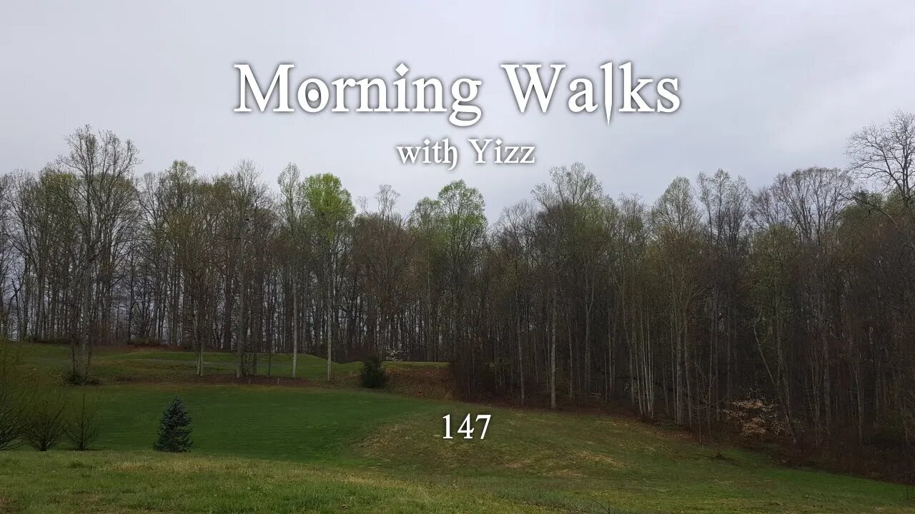 Morning Walks with Yizz 147