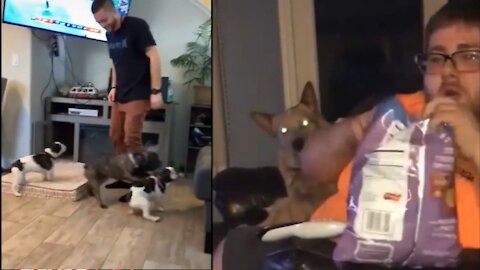 new video dog #Dog #DogShort