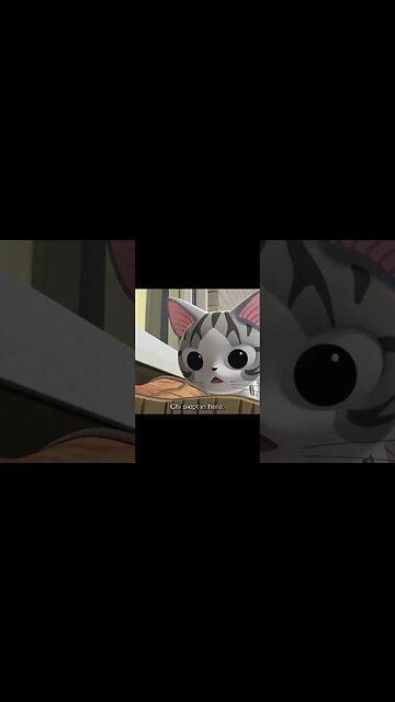 Daily #32 Japan Conversation with Chi #shorts #cat