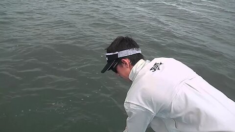Big Hinchinbrook barra for Ridley
