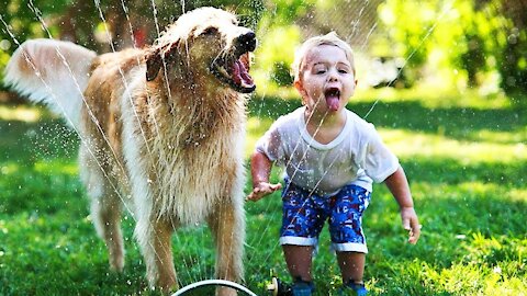 Funny kids and dogs playing