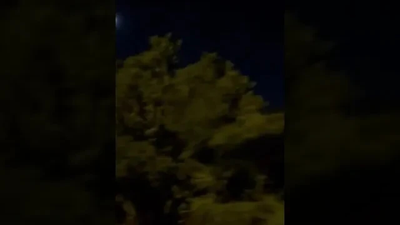 moonlight Drive #nature #moon #venus #nightlife