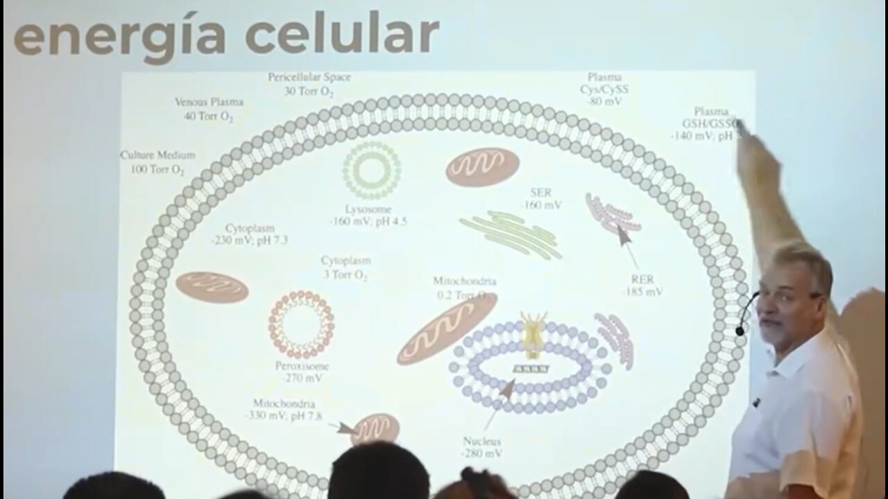 Conferencia Andreas Kalcker Bogotá 2019 parte 1_4