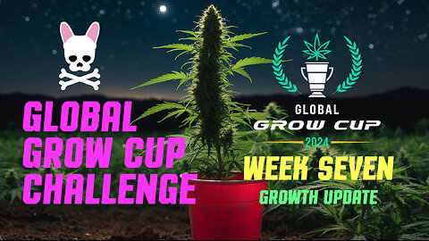 Global Grow Cup Challenge 2024 - Week Seven - Spider Farmer SF2000