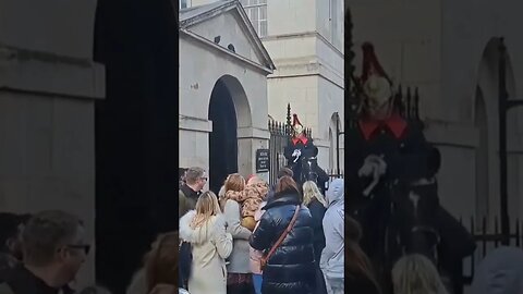 Stand back from the kings life Guard horse used to disburst large crowd #thekingsguard