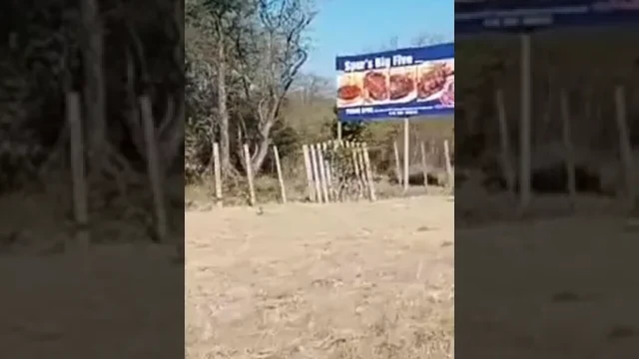 LIMPOPO