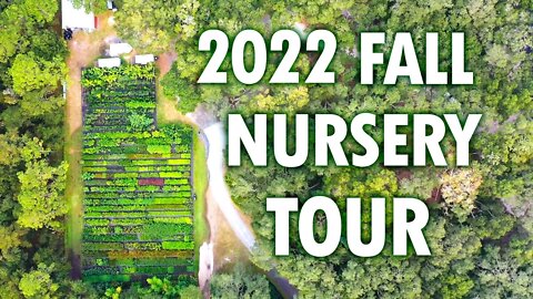 2022 Sandhill Farm- Nursery Tour! (Post- Hurricane)