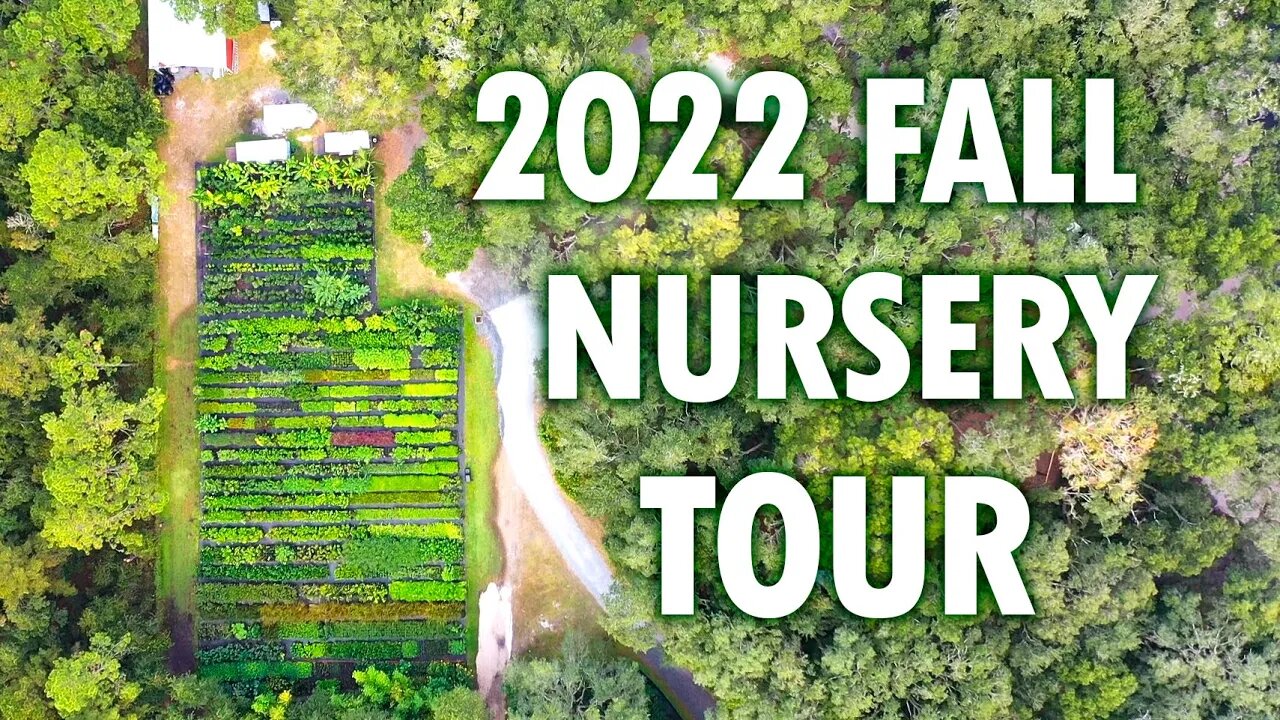 2022 Sandhill Farm- Nursery Tour! (Post- Hurricane)