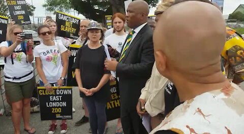 Khoi-San community call for closure of East London Zoo (37c)