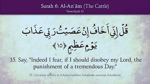 Al Quran 006/114 Surah Al-Anam (The Cattle) Quran Recitation with English Translation HD