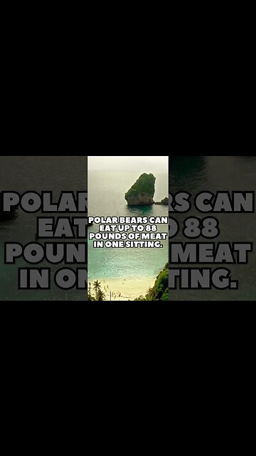 Incredible Random Facts That Will Expand Your Mind! [2023] #shorts #facts #viralshorts #fyp #life