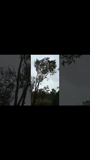 The wind is really blowing