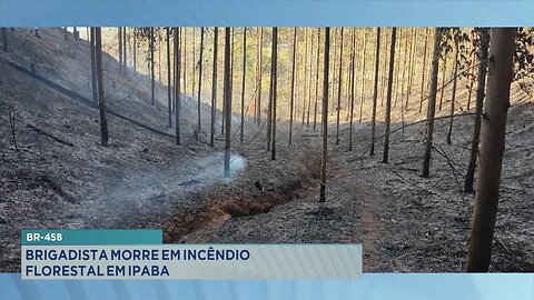 BR-458: Brigadista Morre em Incêndio Florestal em Ipaba.