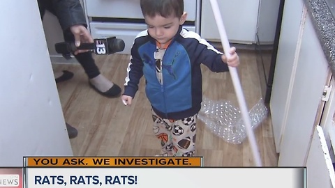 Moms say apartments under siege from rats