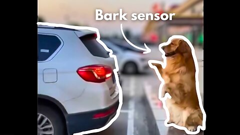 Helpful Dog Barks When Car Gets Close To Curb