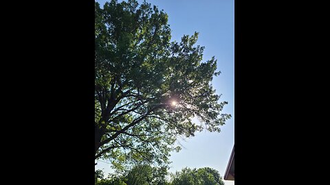 Sunshine