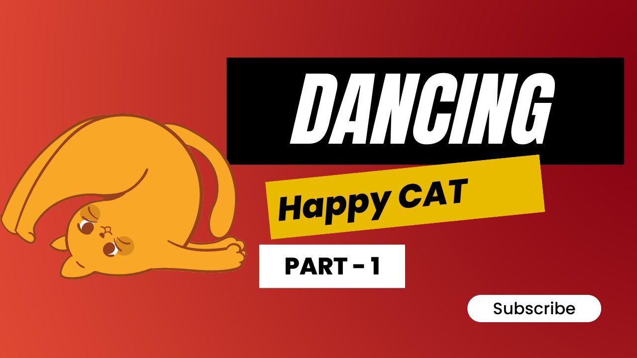 Giving my CAT something to dance to!!!