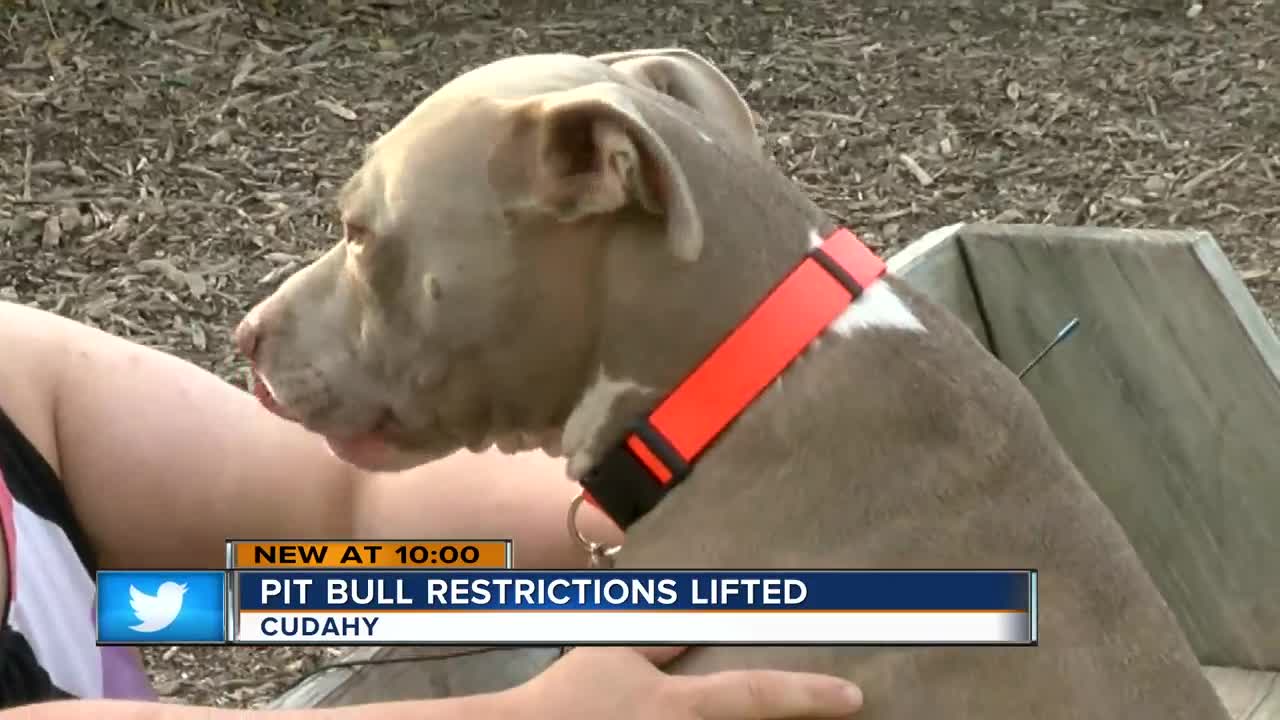 Pit bull restrictions lifted in Cudahy