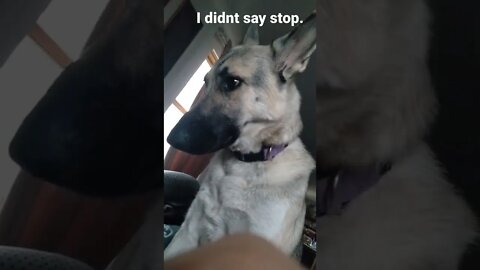 I didn't say stop