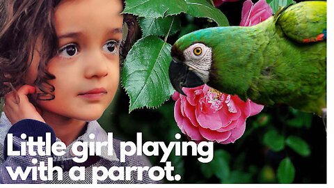 Parrot Follows Her Favorite Kid Everywhere