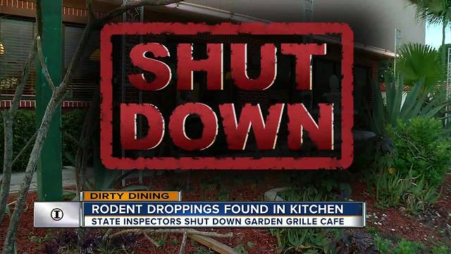 Dirty Dining: Garden Grille Cafe shut down twice for 100+ rodent droppings in the kitchen