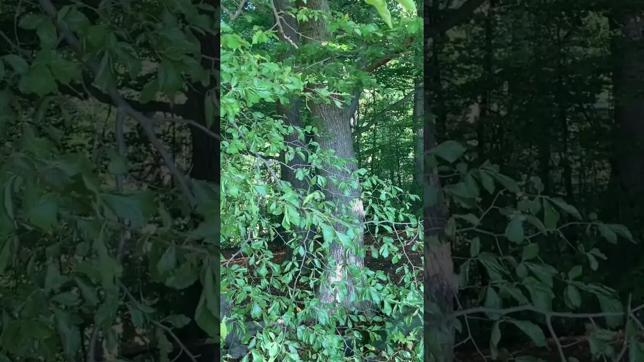 Total of 116 children disappeared from hotels between July 2021 and August 22