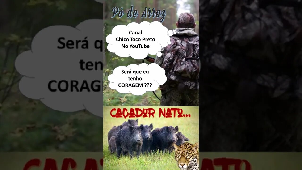 Pó de Arroz, Caçador Nato #Shorts