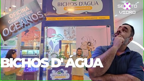 AQUARISMO: VISITA À NOVA LOJA BICHOS DAGUA