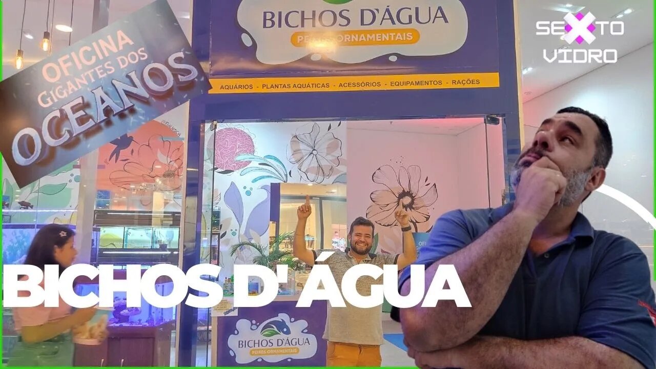 AQUARISMO: VISITA À NOVA LOJA BICHOS DAGUA