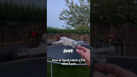 How to hand catch a DJI Mini 3 Pro #shorts