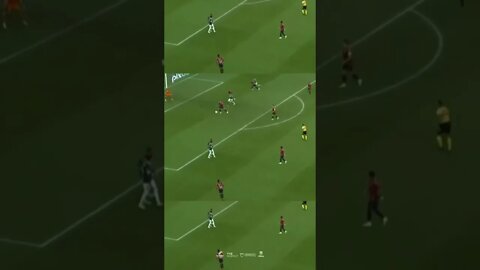 PALMEIRAS CAMPEÃO!!!!