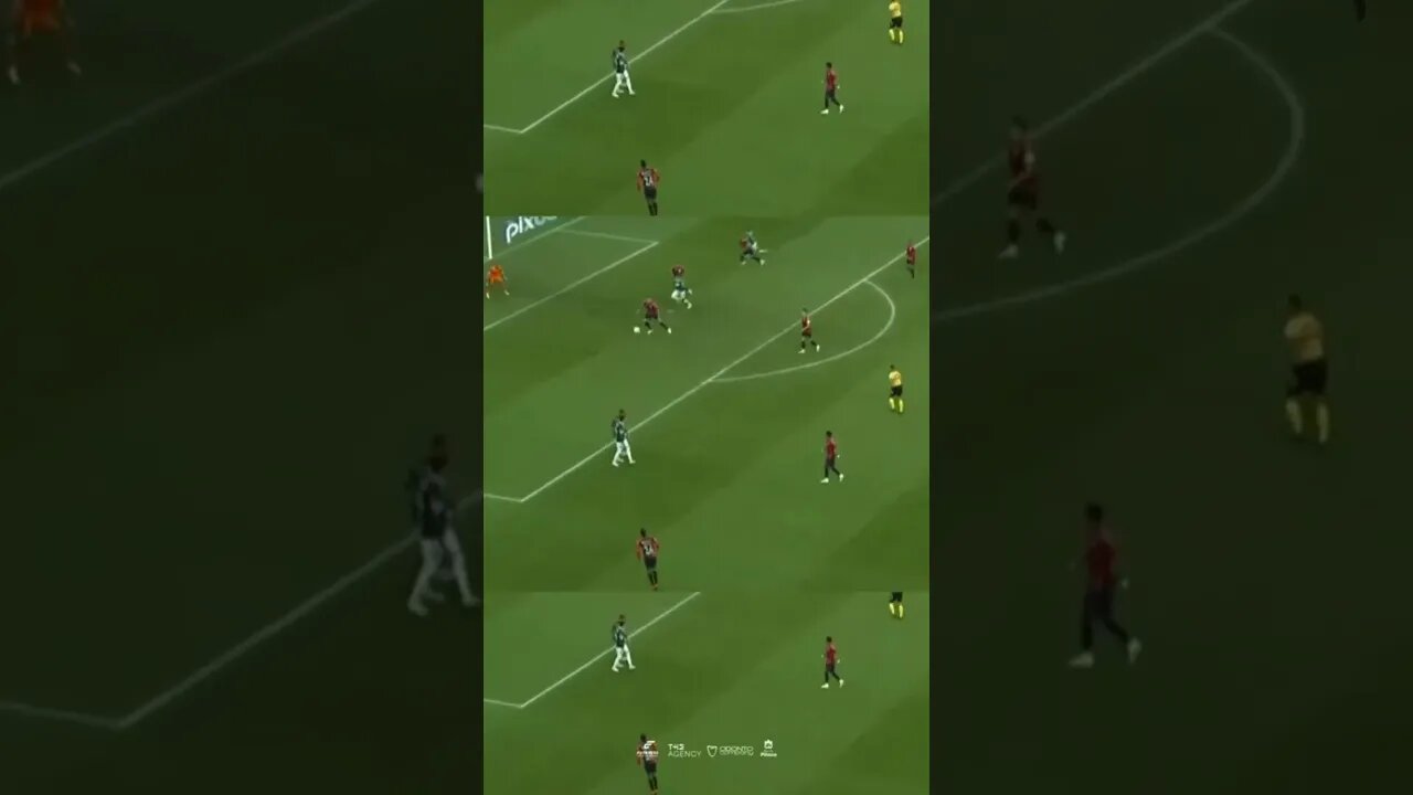 PALMEIRAS CAMPEÃO!!!!