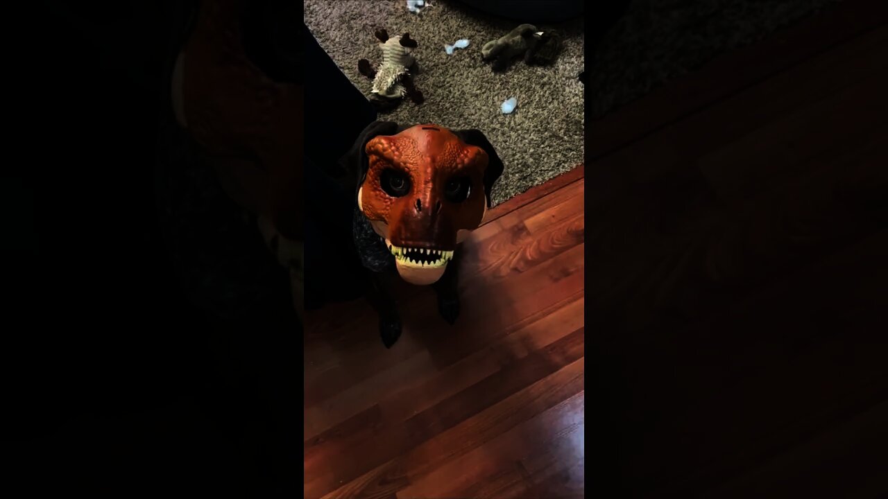 Pointer in his natural face