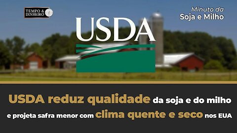 USDA reduz qualidade da soja e do milho e projeta safra menor com clima quente e seco nos EUA