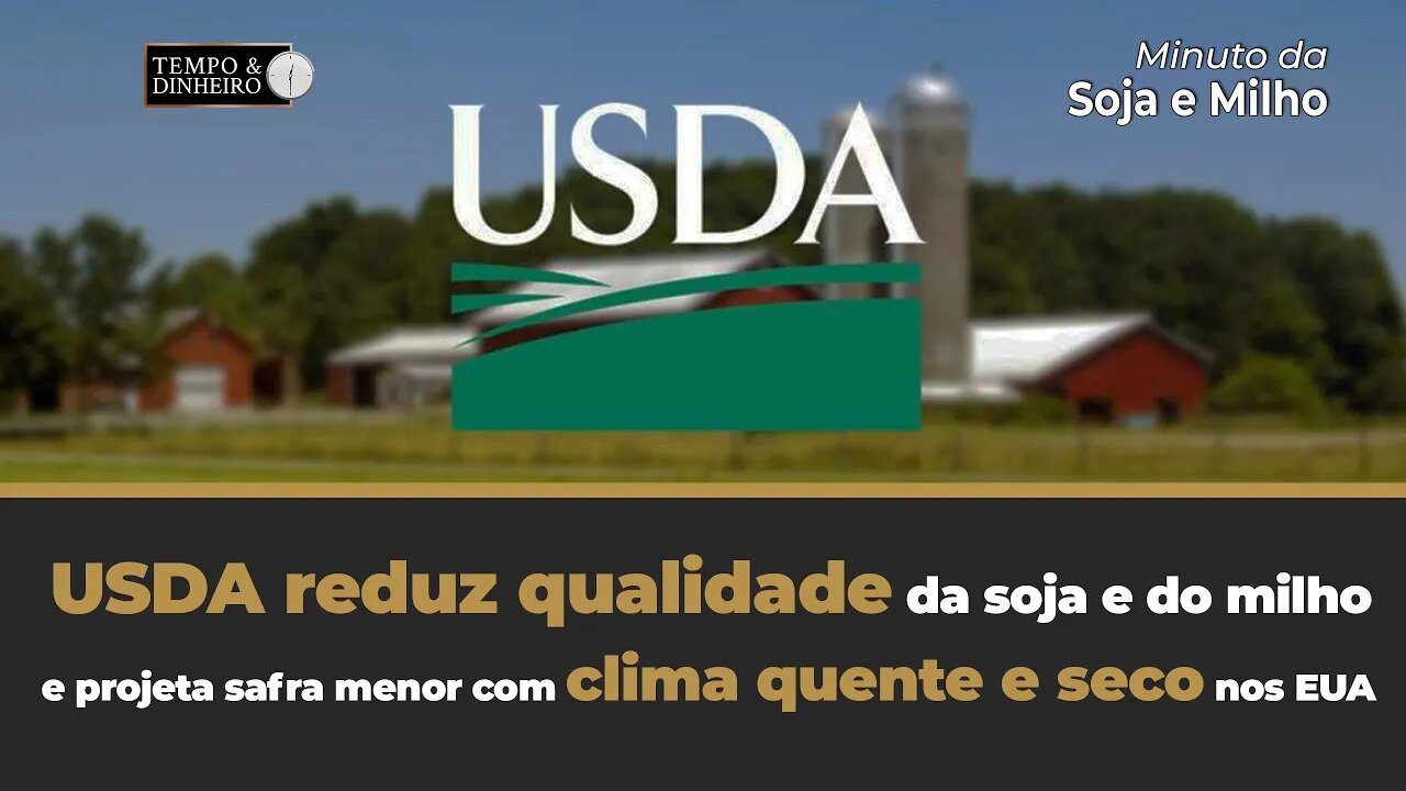 USDA reduz qualidade da soja e do milho e projeta safra menor com clima quente e seco nos EUA